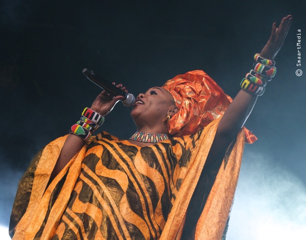 Fantani Touré en concert à la Nuit Verte